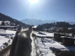 Гостиница Ranch Bohinj, Бохиньска Быстрица